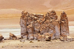 Ruta de los Salares - Guided Tour : San Pedro de Atacama - Chile