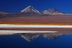 San Pedro de Atacama: Salt Flats -reitin kiertoajelu aterioineen