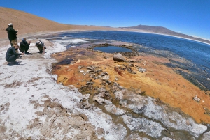 San Pedro de Atacama: Rundvisning på saltsletternes rute med måltider