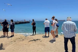 San Antonio cruise Valparaíso og Casablanca, Santiago