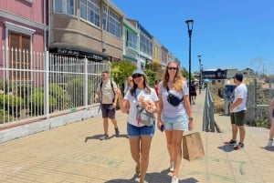 San Antonio kryssningstur Valparaíso & Casablanca, Santiago