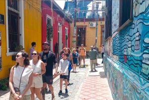 San Antonio kryssningstur Valparaíso & Casablanca, Santiago