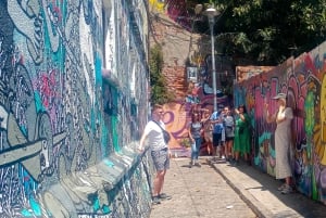 San Antonio kryssningstur Valparaíso & Casablanca, Santiago