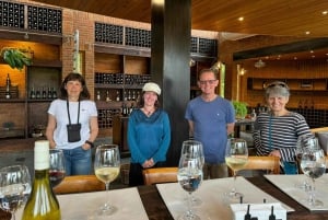 San Antonio kryssningstur Valparaíso & Casablanca, Santiago