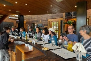 San Antonio kryssningstur Valparaíso & Casablanca, Santiago