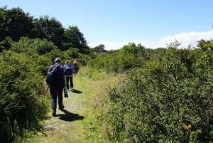 San Isidro-fyrtårnet, det siste fyrtårnet på kontinentet