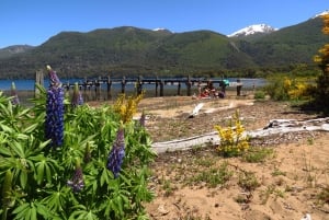 San Martín de los Andes por 7 Lagos