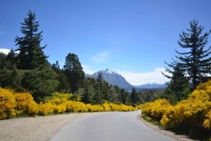 San Martín de los Andes por 7 Lagos