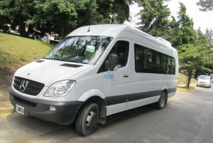 San Martín de los Andes por 7 Lagos