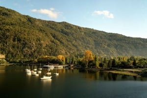 San Martín de los Andes por 7 Lagos