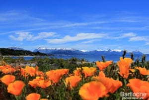 San Martín de los Andes por 7 Lagos
