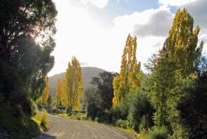 San Martín de los Andes por 7 Lagos