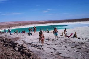 San Pedro Atacama: Baltinache Lagoons and Magic Bus Tour