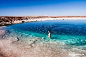 San Pedro Atacama: Baltinache Lagoons and Magic Bus Tour