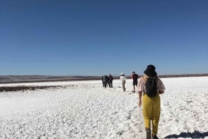 San Pedro de Atacama : Combo d'activités de 3 jours avec 4 excursions