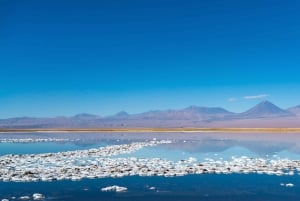 San Pedro de Atacama: tour di 4 giorni nel deserto magico
