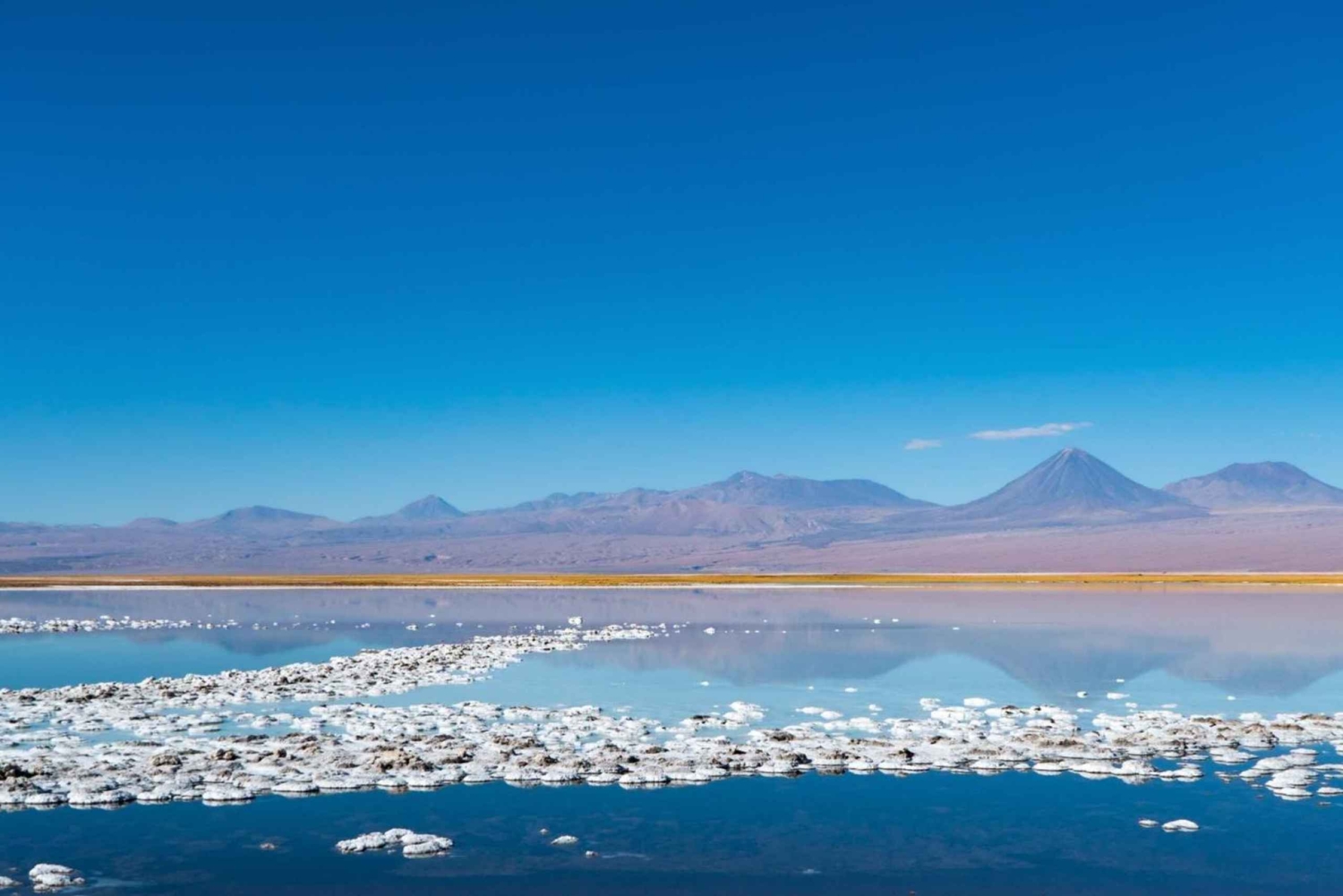 San Pedro de Atacama: Excursión de 4 días por el Desierto Mágico