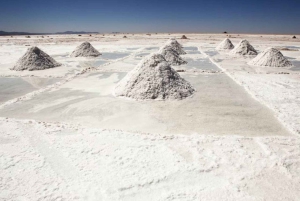 San Pedro de Atacama: 4-Day Uyuni Salt Flats Tour