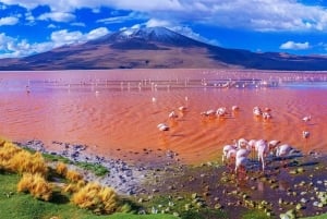 San Pedro de Atacama: 4 päivän Uyunin suolatasangon kiertomatka