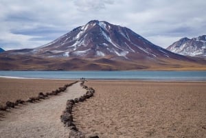 San Pedro de Atacama: Altiplanic-laguner, Chaxa och röda klippor