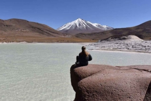 San Pedro de Atacama : Lagunes altiplaniques, Chaxa et Red Rocks