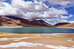 San Pedro de Atacama: Lagunas Altiplánicas, Chaxa y Rocas Rojas