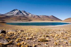 San Pedro de Atacama: Lagune Altiplaniche, Chaxa e Rocce Rosse