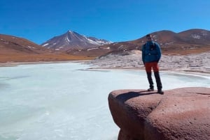 San Pedro de Atacama: Altiplanische Lagunen, Chaxa & Rote Felsen