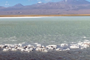 San Pedro de Atacama: Laguny Altiplanic, Chaxa i Czerwone Skały