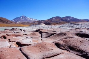 San Pedro de Atacama: Chaxa & Red Rocks: Altiplanic Lagoons, Chaxa & Red Rocks