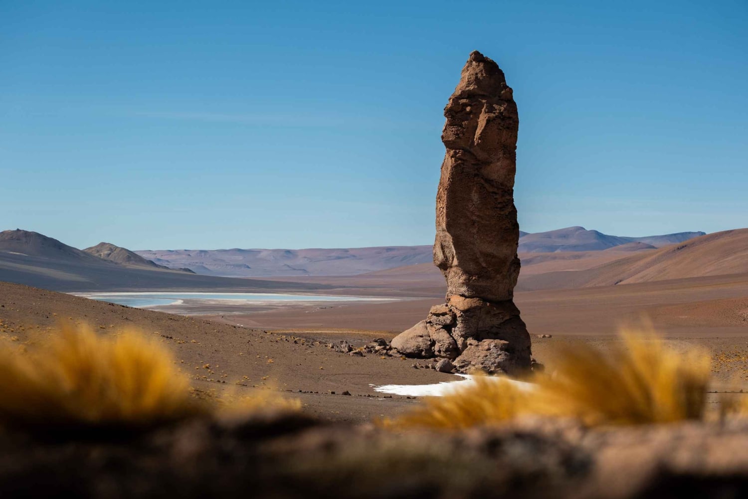 San Pedro de Atacama: Dagsutflykt till Atacamaöknen och saltslätterna
