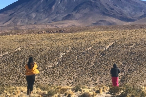 San Pedro de Atacama: Dagtrip Atacama-woestijn en zoutvlakten