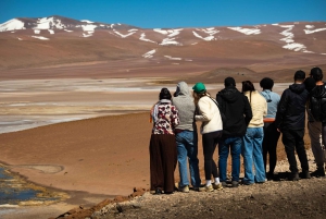 San Pedro de Atacama: Dagsutflykt till Atacamaöknen och saltslätterna