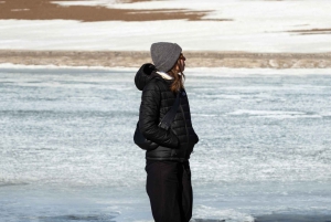 San Pedro de Atacama: Dagsutflykt till Atacamaöknen och saltslätterna