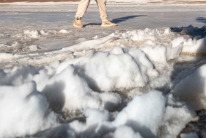 San Pedro de Atacama: Dagsutflykt till Atacamaöknen och saltslätterna