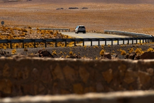 San Pedro de Atacama: Dagsutflykt till Atacamaöknen och saltslätterna