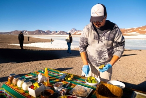 San Pedro de Atacama: Dagsutflykt till Atacamaöknen och saltslätterna