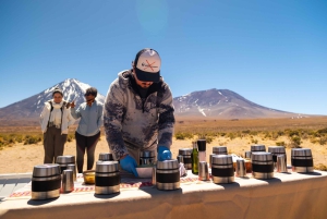 San Pedro de Atacama: Dagsutflykt till Atacamaöknen och saltslätterna