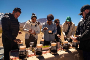 San Pedro de Atacama: Dagsutflykt till Atacamaöknen och saltslätterna