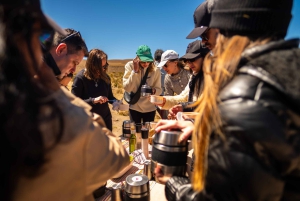 San Pedro de Atacama: Dagsutflykt till Atacamaöknen och saltslätterna