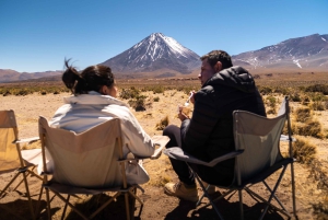 San Pedro de Atacama: Dagsutflykt till Atacamaöknen och saltslätterna