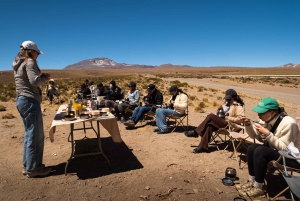 San Pedro de Atacama: Dagsutflykt till Atacamaöknen och saltslätterna