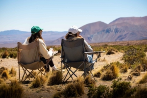 San Pedro de Atacama: Dagsutflykt till Atacamaöknen och saltslätterna