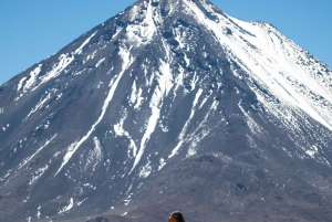 San Pedro de Atacama: Dagsutflykt till Atacamaöknen och saltslätterna
