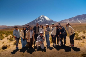 San Pedro de Atacama: Dagsutflykt till Atacamaöknen och saltslätterna