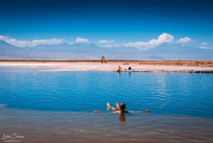 San Pedro de Atacama: Cejar Lagoon