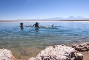 San Pedro de Atacama: Lagoa Cejar