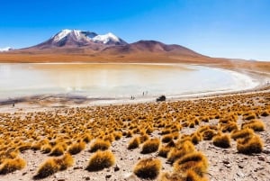 Excursión de un día a San Pedro de Atacama: Desierto y Salar de Atacama