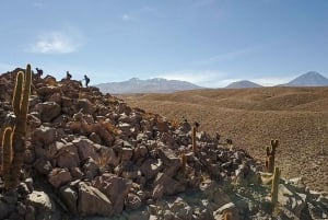 San Pedro de Atacama: Desert Tour med Canyoning & Trekking