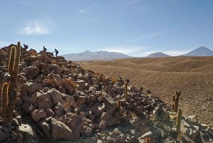 San Pedro de Atacama: Desert Tour with Canyoning & Trekking
